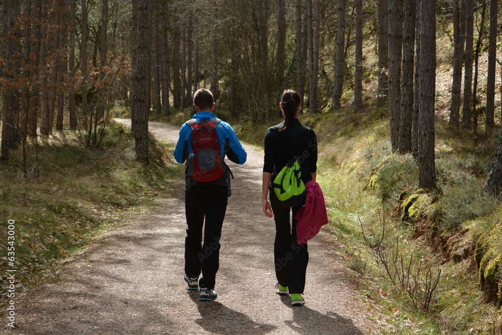 Pareja joven caminando por el bosque Pareja joven caminando por el bosque