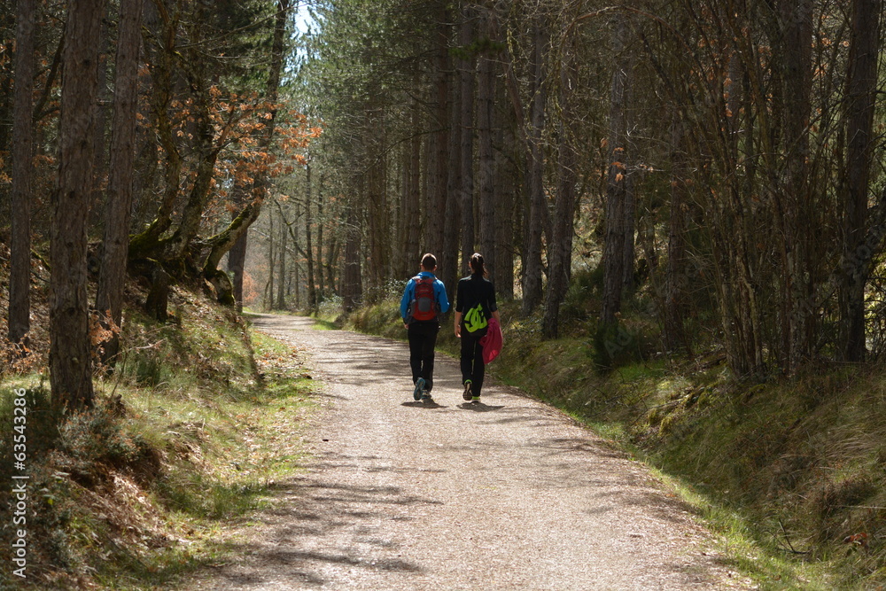 Dos caminantes andando por un camino por el bosque