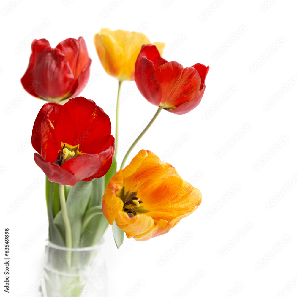 Bouquet of colorful tulips.