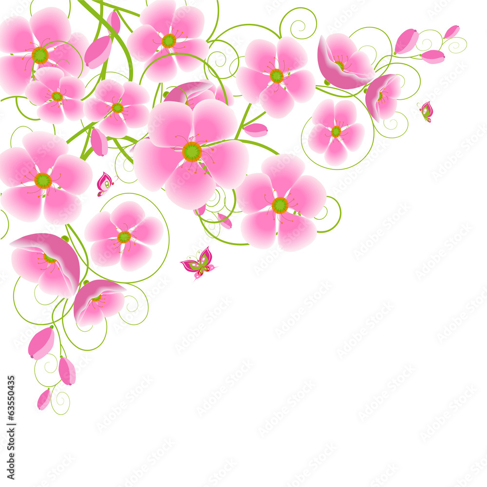 Fototapeta premium kirschblüten2