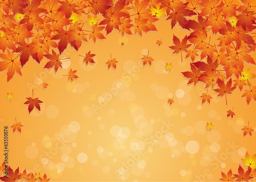 Autumn Text Sign Background