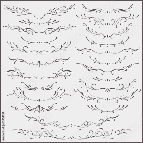 Floral divider and borders