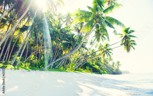 Fototapeta Naklejka Na Ścianę i Meble -  Idyllic beach