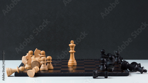 Valokuva Winner of the Game