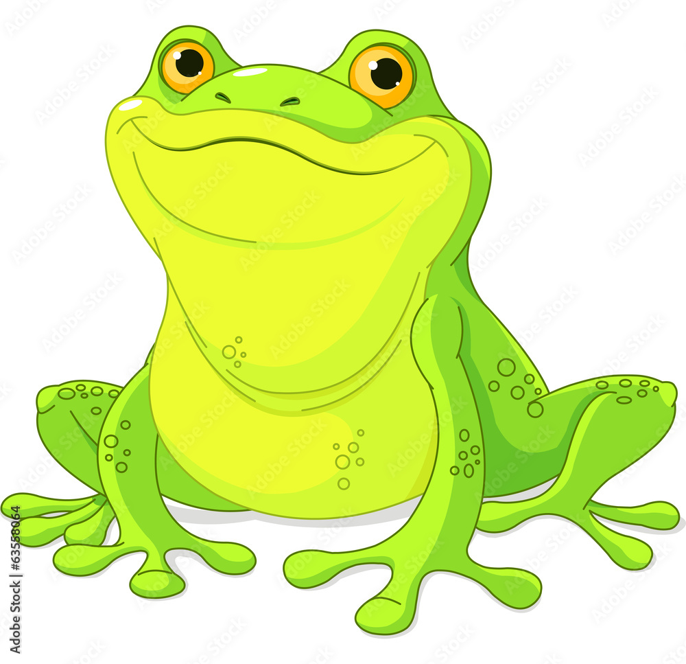 Fototapeta premium Frog
