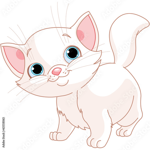White kitten