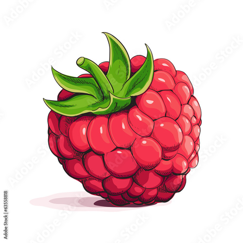 Ripe raspberry