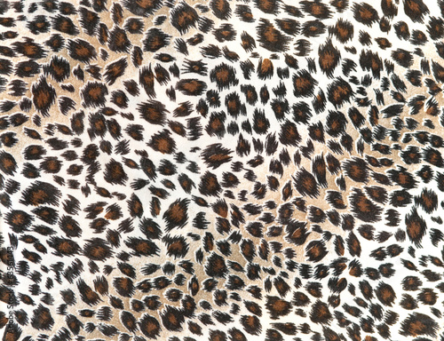 leopard tiger skin texture background