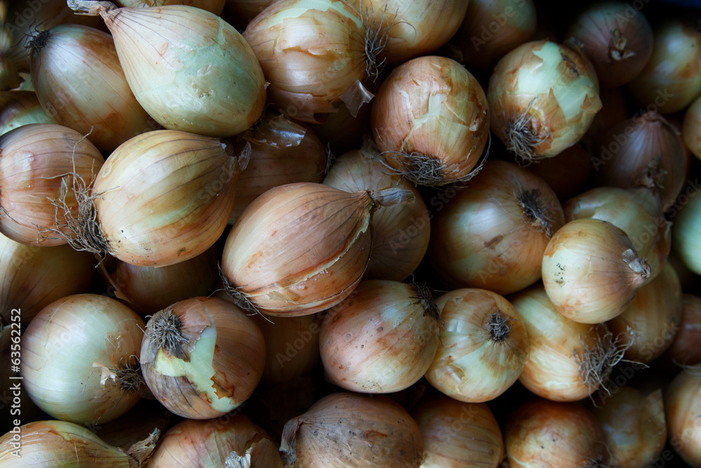 Obraz premium onions