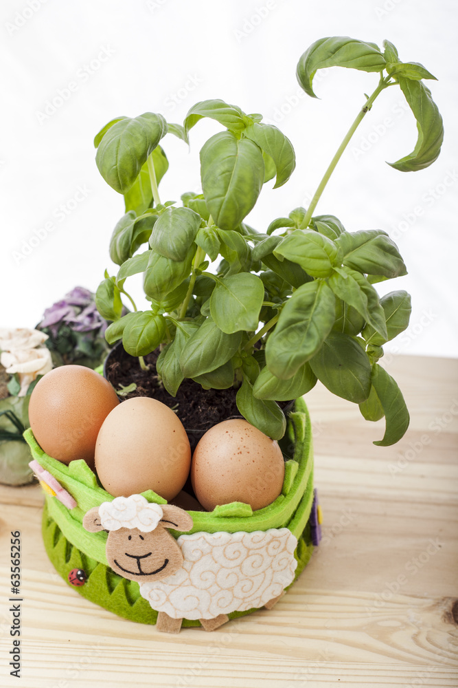 Boiled eggs and basil Boiled eggs and basil