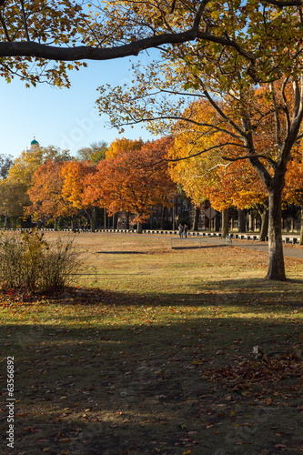 Cambridge, MA fall Landscape near Harvard University campus.