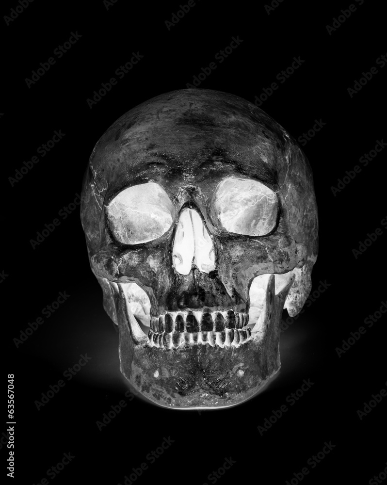 Obraz premium Front view of human skull isolated on white background