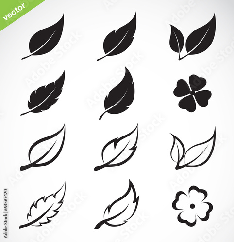 Vector leaves icon set on white background. Easy editable layered vector illustration.
