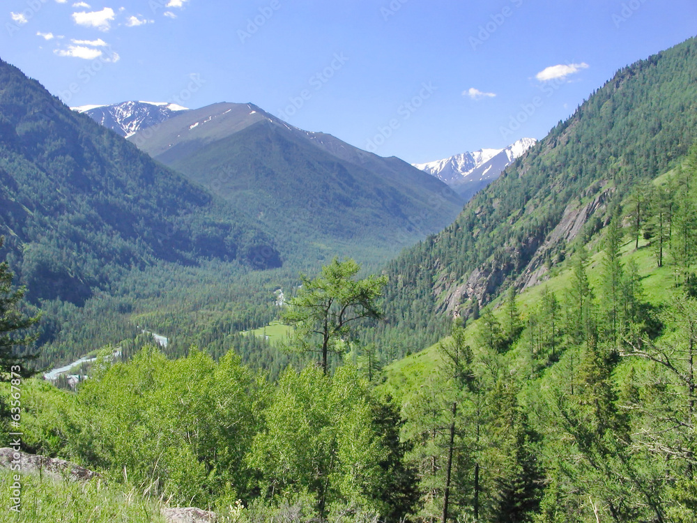 Mountains Altai