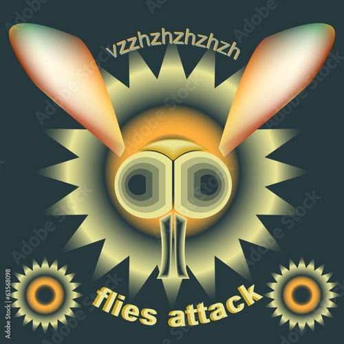 Flies attack