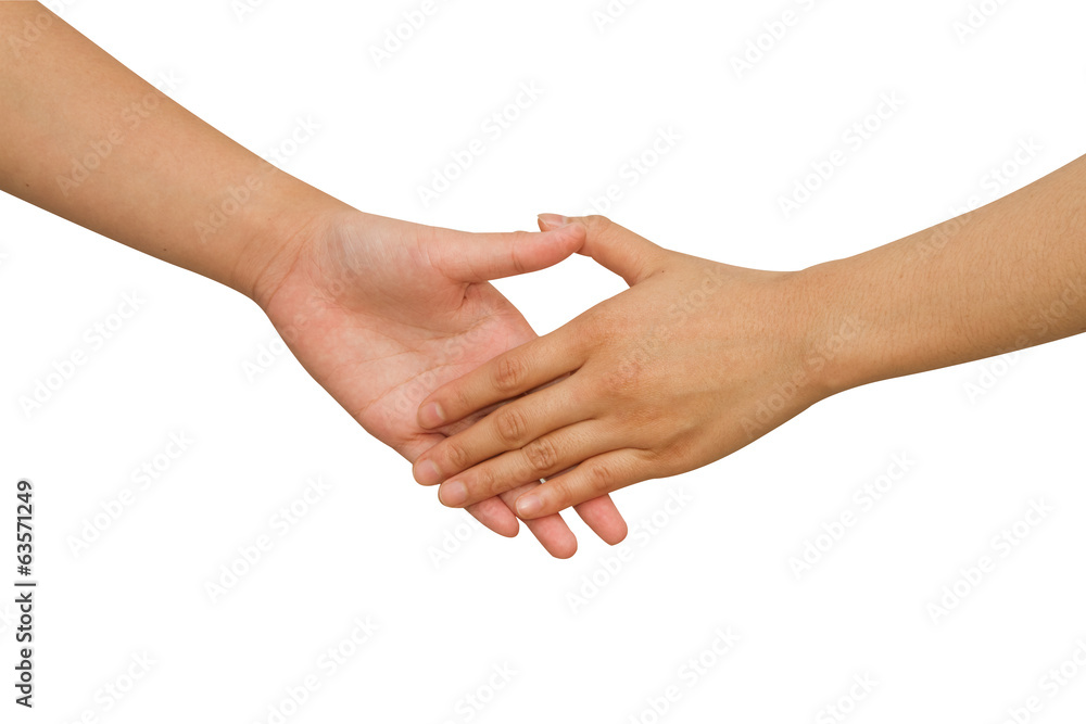 Business handshake between business people