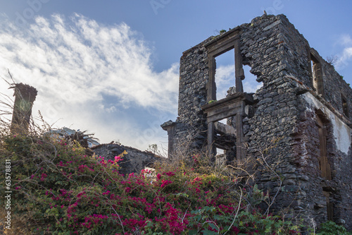 Ruine photo