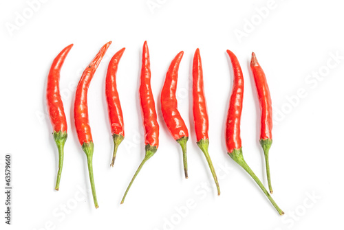 chilli pepper isolated
