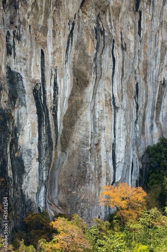 Tall cliff and trees