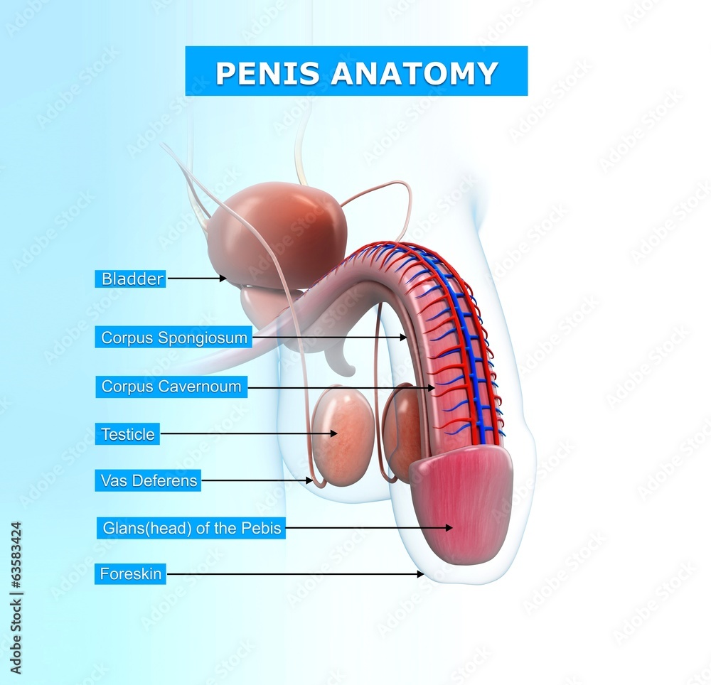 Penis Bong aus Keramik weiß