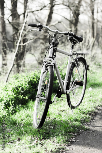 Old bicycles in the park