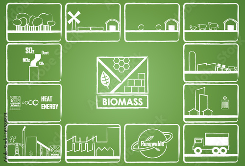 biomass
