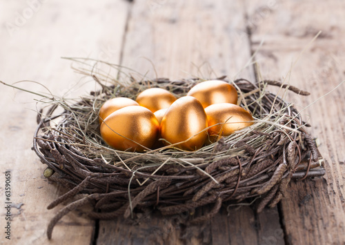Gold Eggs