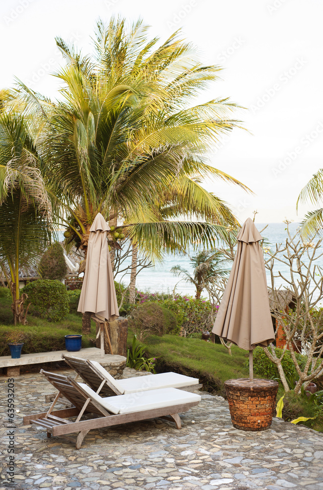 Fototapeta premium Green tropical garden