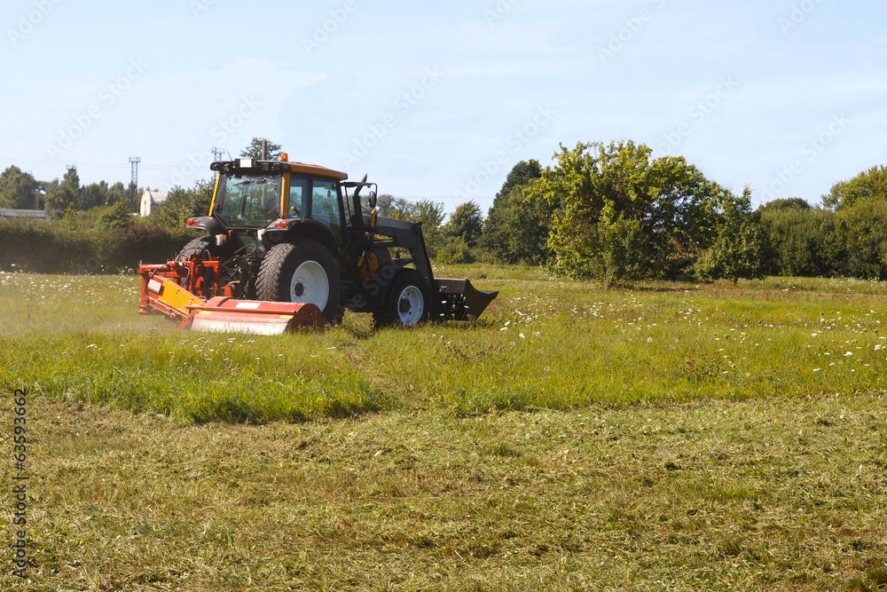 Fototapeta premium tractor mows the lawn