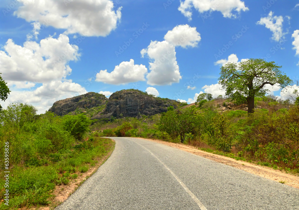 The fantastic nature of Mozambique. The road. Africa, Mozambique