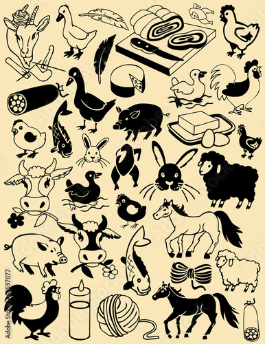 farm animals