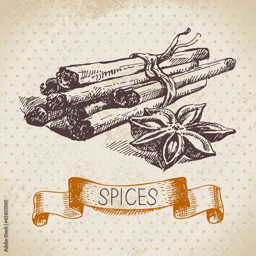 Kitchen herbs and spices. Vintage background with hand drawn