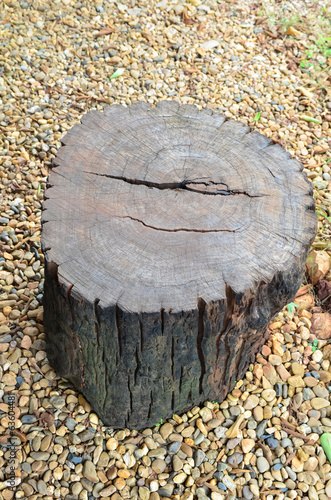 close-up wooden cut