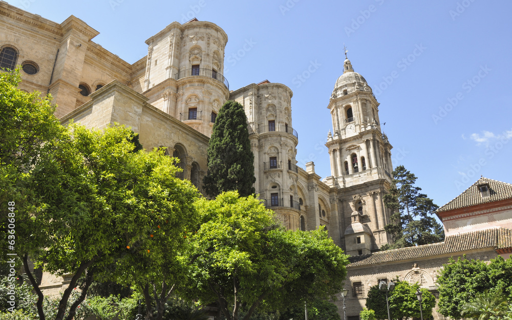 Malaga, Altstadt, Kathedrale, Sommer, Spanien - obrazy, fototapety, plakaty 