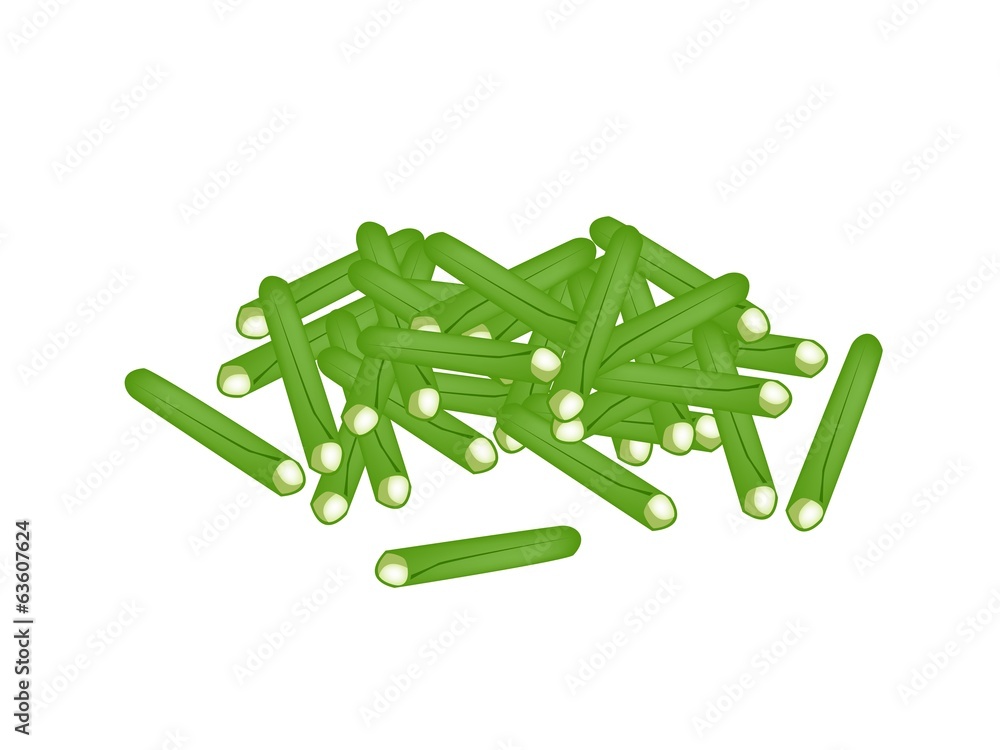 Fresh Chinese Long Beans on White Background Fresh Chinese Long Beans on White Background