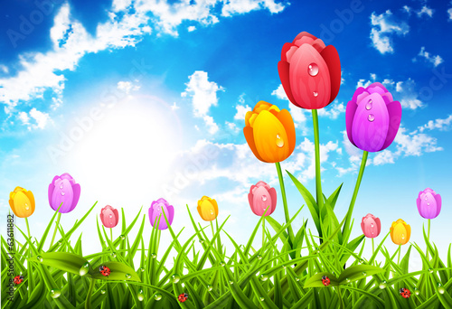 Spring Landscape