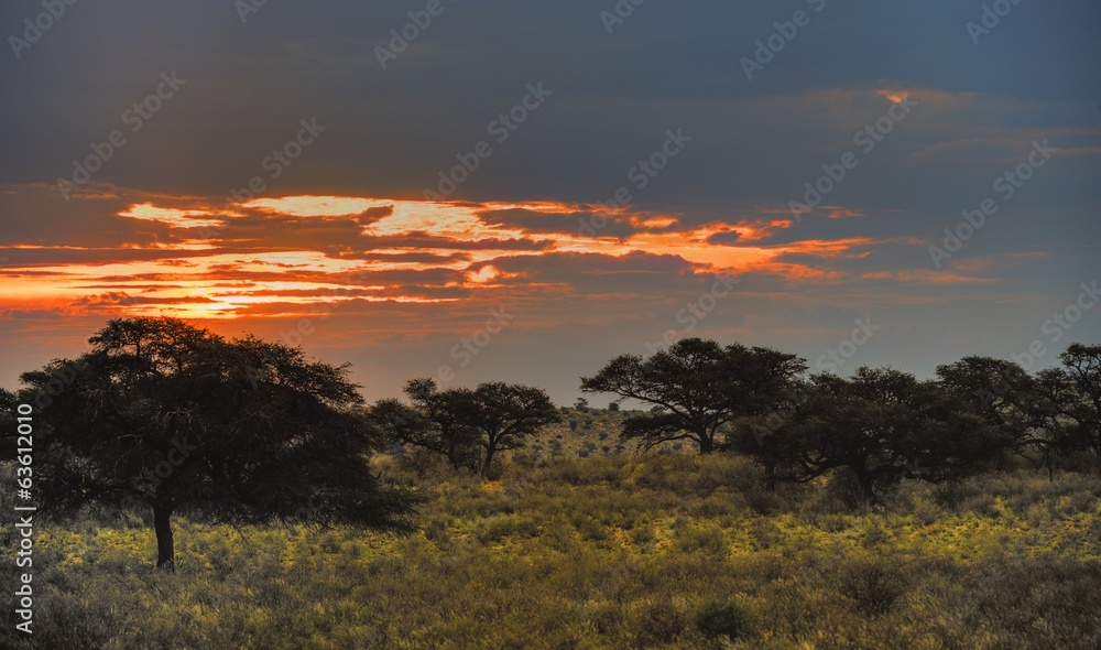 Sunset at Grootkolk, Kgalagadi Trans-frontier Park