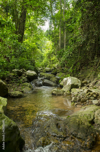 Fototapeta Naklejka Na Ścianę i Meble -  Krok I Dok waterfall in the Khao Yai National Park, Forest World heritage