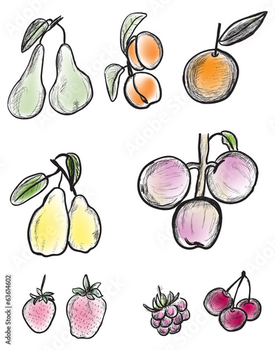 Fototapeta Naklejka Na Ścianę i Meble -  set of fruit sketches isolated onwhite