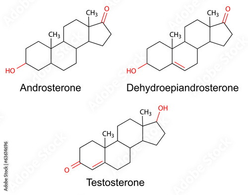 Structural formulas of male sex hormones with variable fragments photo