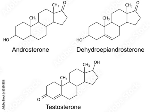 Structural formulas of male sex hormones photo