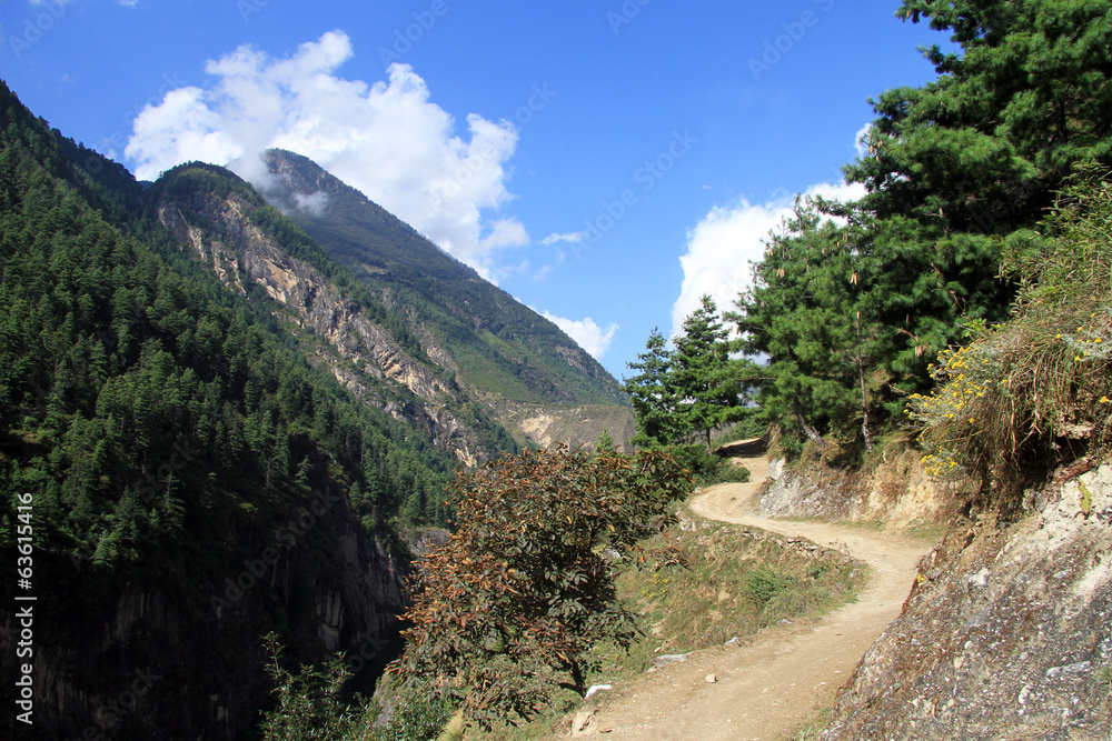 Fototapeta premium Footpath in mountain