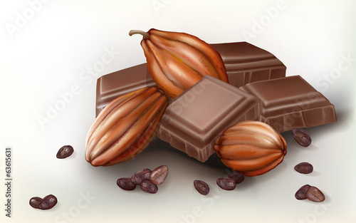 chocolate and cacao fruit
