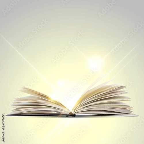 the open book