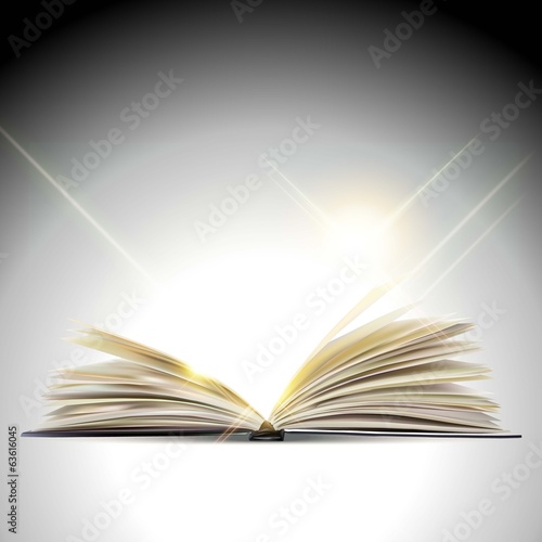the open book