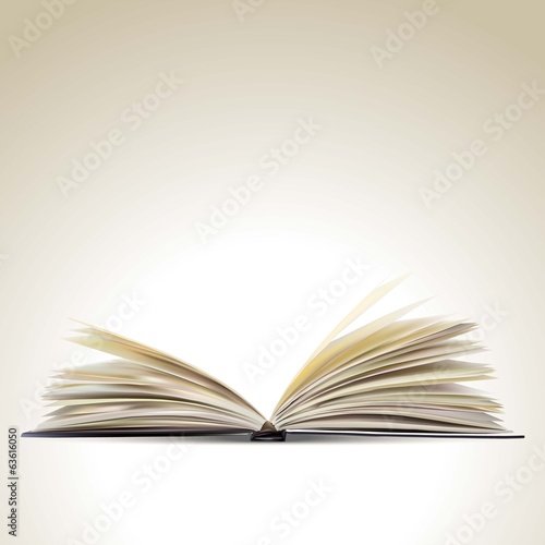 the open book