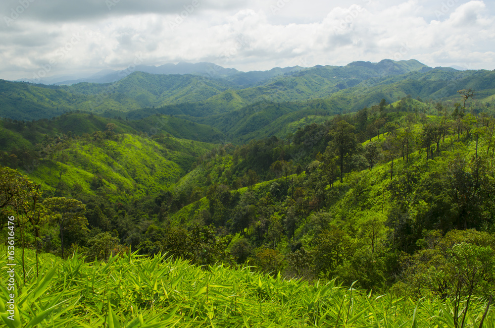 Naklejka premium Sun over the ridge. Summer landscape in the mountains