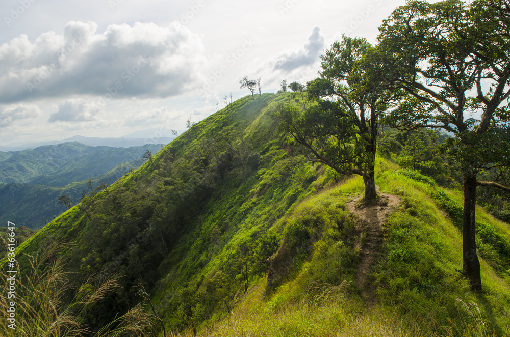 Obraz premium Sun over the ridge. Summer landscape in the mountains