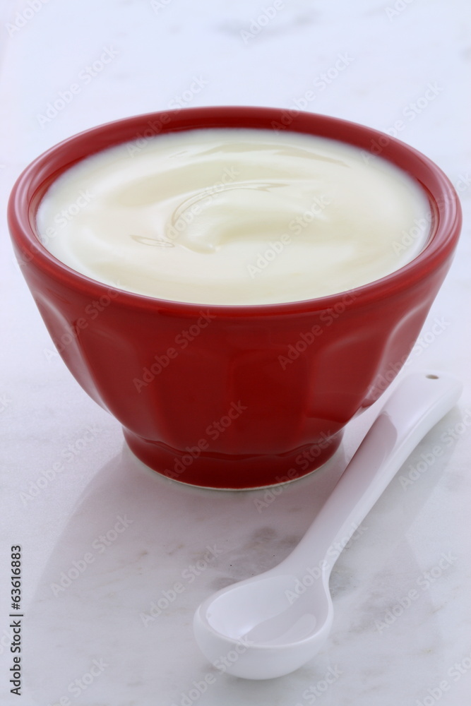 Fresh plain yogurt Fresh plain yogurt