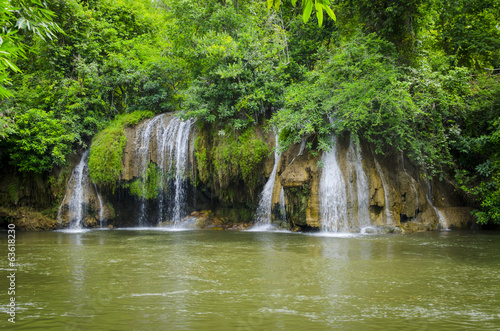 Stream in the tropical forest.